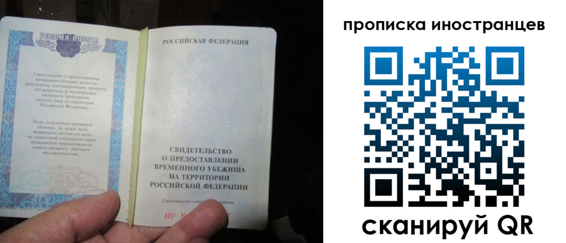 прописка штамп в Светлогорске